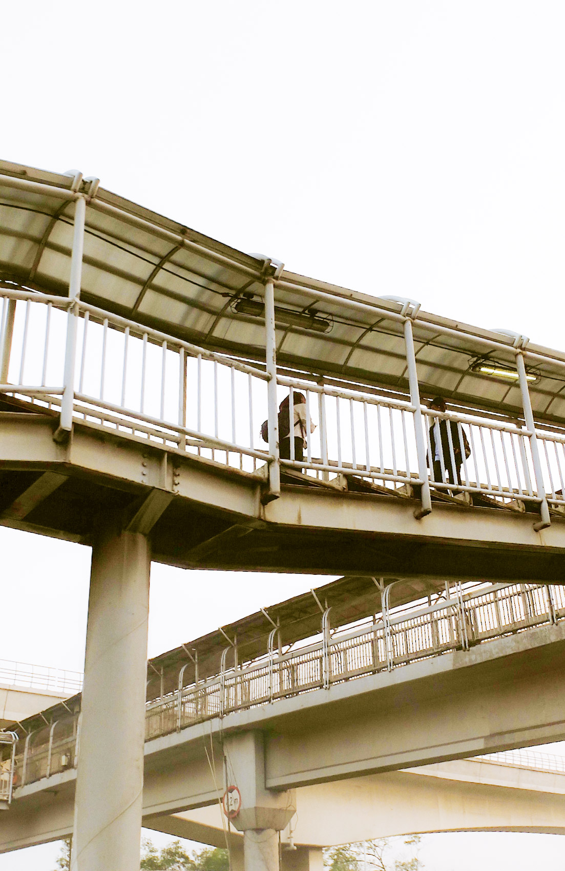 portrait photography